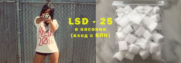 индика Алексин