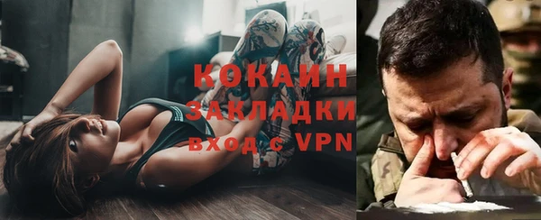 индика Алексин