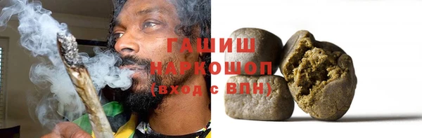 хмурый Алзамай