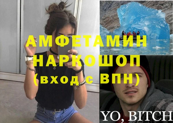 индика Алексин