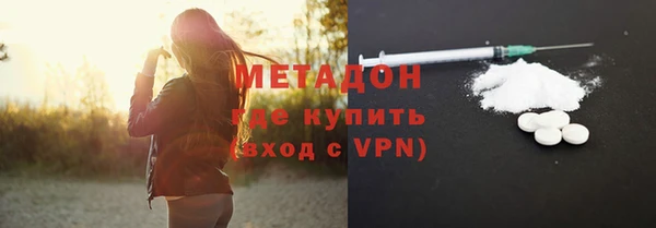 индика Алексин