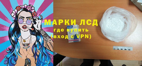 индика Алексин