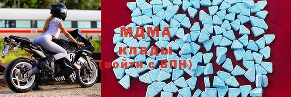 индика Алексин
