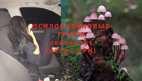 индика Алексин