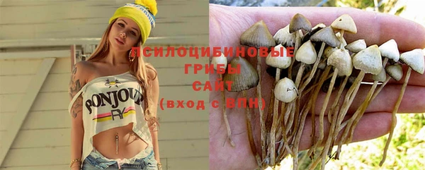 хмурый Алзамай