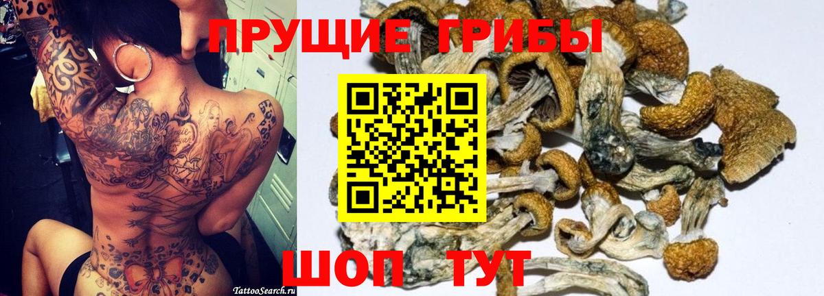 Галлюциногенные грибы прущие грибы Джанкой