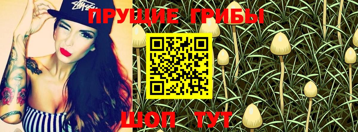 Джанкой  Псилоцибиновые грибы MAGIC MUSHROOMS  Вход с VPN  Псилоцибиновые грибы Cubensis 