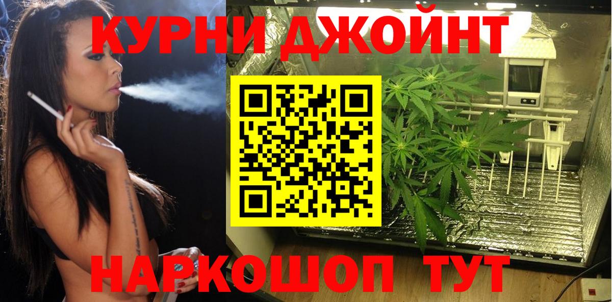 Джанкой  Бошки Шишки ГИДРОПОН  Вход с VPN  Канабис VHQ  Бошки марихуана индика 